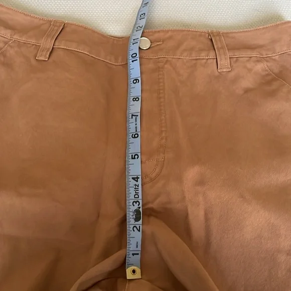 New Jordan Women’s Standard Fit Chicago Pants Archaeo Brown Size Large